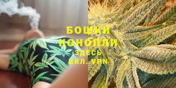 прущие грибы Балахна