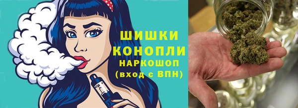 прущие грибы Балахна