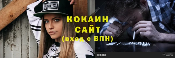 прущие грибы Балахна