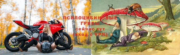 прущие грибы Балахна