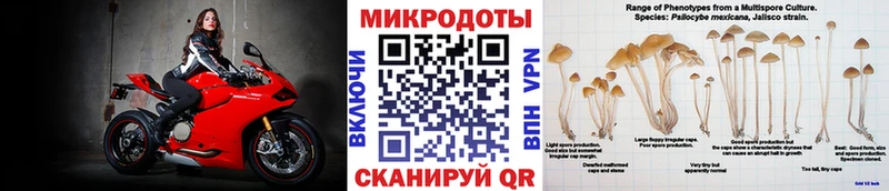 Галлюциногенные грибы Psilocybe MEGA как зайти Верхний Тагил где найти наркотики